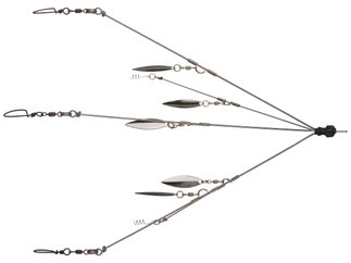 Bailey Rigs - bigbaitbaileyguideservice